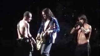 Red Hot Chili Peppers  Intro  Otherside LIVE [upl. by Spancake880]