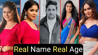 Aaina New Serial Cast Real Name And Real Age Full Details  Sunaina  Naman  TM [upl. by Alemahs]