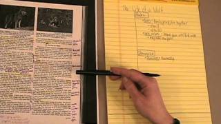 Creating Cornell Notes [upl. by Jenni21]