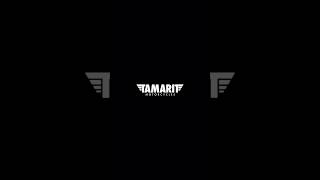 Triumph tamarit dr Banner edition [upl. by Anaira]