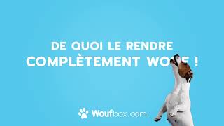 WOUFBOX  VOTRE CHIEN VA ÊTRE COMPLTÈMENT WOUF [upl. by Harli]