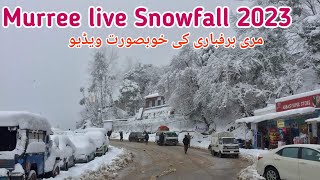 Murree live Snowfall 2023  Murree weather today  Nathia gali snowfall [upl. by Halian]