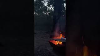 Sunset by campfire at Tanner Road Campground in the Great Otway National Park near Anglesea [upl. by Bergren315]