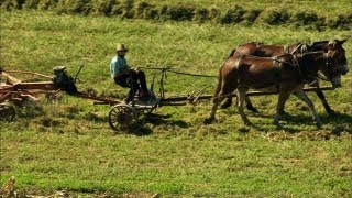 Pennsylvanias Amish Country [upl. by Bannon]