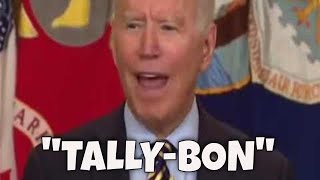 quotTallyBonquot Beetlejuice Parody Why does Biden Pronounce Taliban like Tally Man in Banana Boat Song [upl. by Feledy]