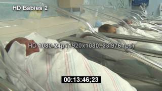 Newborn Babies  HD Stock Footage  Infant  HD Stock Videos  Hospital  Birth  Nursery [upl. by Avril964]