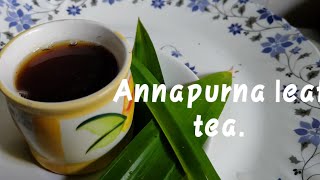 Annapurna leaf tea  Odisha tea recipe Annapurnaleaftea [upl. by Yarg]