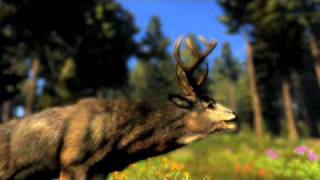 Cabelas Outdoor Adventures 2010  Official Activision Teaser [upl. by Haidabez]