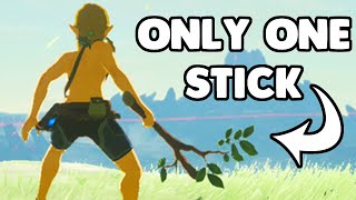 I Beat Breath of the Wild with a Single Stick [upl. by Einnol]