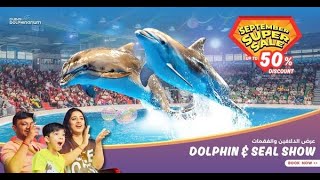 September Super Saver up to 50 Off  Best Dolphin Show in UAE  Limited Time Offer [upl. by Ylrahc]