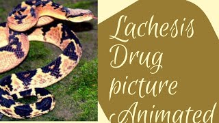 Lachesis Drug picture [upl. by Aserehc555]