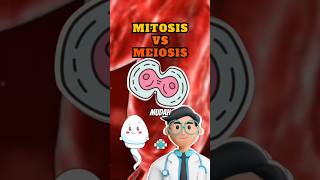 Mitosis amp Meiosis ▶️ Pembelahan Sel  Biologi Kelas 12 Kurikulum Merdeka 🔬 [upl. by Nennerb]