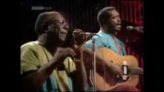 Sonny Terry amp Brownie McGee  Drinkin Wine [upl. by Naoj]