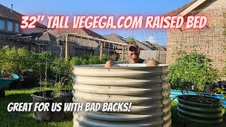 Check Out This Raised Bed from Vegega  DHBG [upl. by Akinehc]