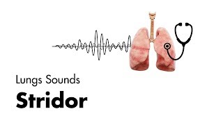 Stridor  Lung Sounds  MEDZCOOL [upl. by Casavant]