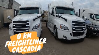 YENI FREIGHTLINER CASCADIA GELDI  0 KM TIR ILE YOLLARA DEVAM [upl. by Amer420]