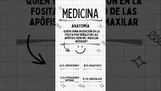 Quién toma inserción en la fosita por debajo de las Apófisis Geni del Maxilar Inferior anatomia [upl. by Aciria]