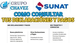 COMO VER EL DETALLE DE TUS DECLARACIONES Y PAGOS SUNAT [upl. by Reldnahc660]