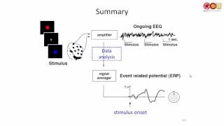 Lec 08 Chapter 3 The Electrophysiological Brain 腦神經電生理 44 [upl. by Nali793]