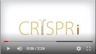 What is CRISPR interference or CRISPRi [upl. by Jewell655]