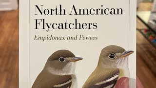 preview of Flycatchers of North America Part one [upl. by Petrick806]