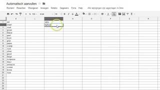 Automatisch aanvullen [upl. by Sillig941]