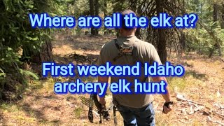 Where are all the Elk at first weekend Idaho Archery hunt 2024 Public land [upl. by Ynnij]