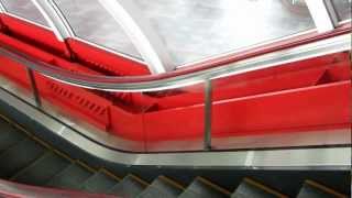 Interesting Escalator at Hakone OpenAir Museum  Hakone Japan [upl. by Aleihs75]