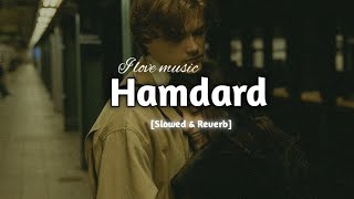 Hamdard  Slowed amp Reverb  Ek villain  Arijit singh [upl. by Dloreg]