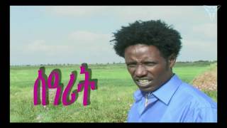 Beraki Gebremedhin  Searit  Eritrean Music [upl. by Bertelli]