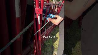 Skill 35 applying a bovine halter from start to finish Part 2 of 2 Penn Foster [upl. by Phox]