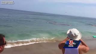 Video shows shark attack feet away from Cape Cod surfers [upl. by Tatiania295]