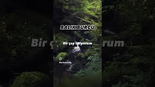 balıkburcu balikburcu astrology astro astrologer astrologia astronomy astronomia astroloji [upl. by Targett971]