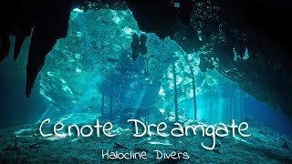 Halocline Divers  Cenote Dreamgate [upl. by Aeuhsoj563]