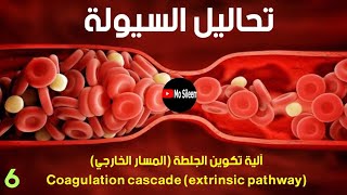 المسار الخارجي coagulation cascade extrinsic pathway [upl. by Holt]