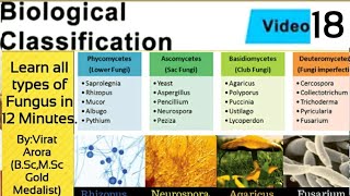 Types of fungus classification of fungiphycomycetesascomycetesbasidiomycetesdeuteromycetesNEET [upl. by Cohbath]