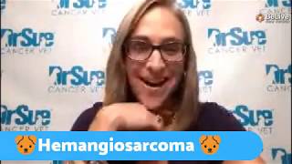 Hemangiosarcoma Live Q amp A [upl. by Arriec]