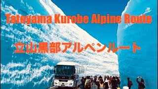 Tateyama Kurobe Alpine Route  立山黒部アルペンルート [upl. by Alley]