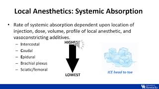 ITE Review  Regional Anesthesia Physiology and Pharmacology  Dr Johnson [upl. by Rafa]