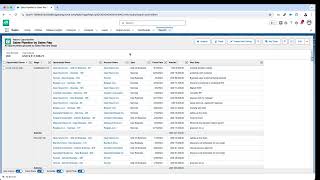 Mass Update  Bulk Update Records in Salesforce  Productivity Tips [upl. by Jaymie561]