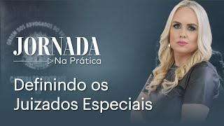 Definindo os Juizados Especiais [upl. by Einnol]