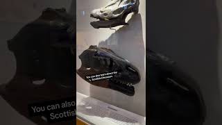 Some more clips from our visit to the Hunterian Museum in Glasgow at the weekend pop in if you’re [upl. by Necaj]