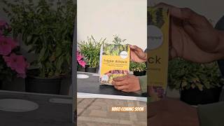 Unboxing bio pesticides ⚡️triple attack ✨️biopesticides biopesticide meaning [upl. by Couq96]