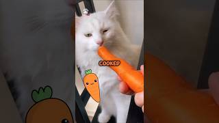 Five vegetables that cats can eat 😽 [upl. by Etan871]