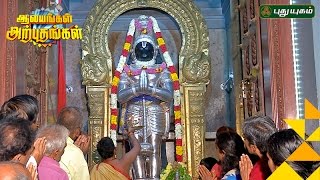 Anjaneyar Temple Ashok NagarAalayangal Arputhangal  25022017  PuthuyugamTV [upl. by Lemert]