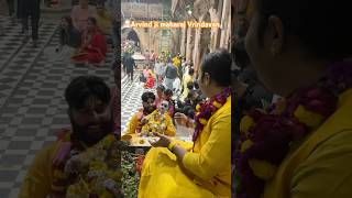 Banke Bihari mandir Vrindavan shorts shortvideo trending bankebihari vrindavan youtubeshorts [upl. by Landsman]