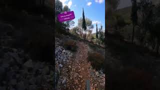 Danos Trail Super Flow and offcamber view mtb specialized flow [upl. by Scheer43]