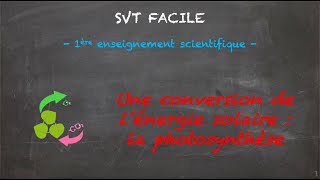 SVT FACILE  1ère ens sci  Une conversion de lénergie solaire  la photosynthèse [upl. by Drauode132]