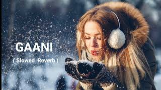 Gaani Lofi l Slowed Reverb l Lofi Akhil Song [upl. by Alsi601]