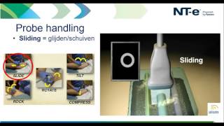 Webinar  Basismodule echografie  Probe handling amp skills [upl. by Mode]